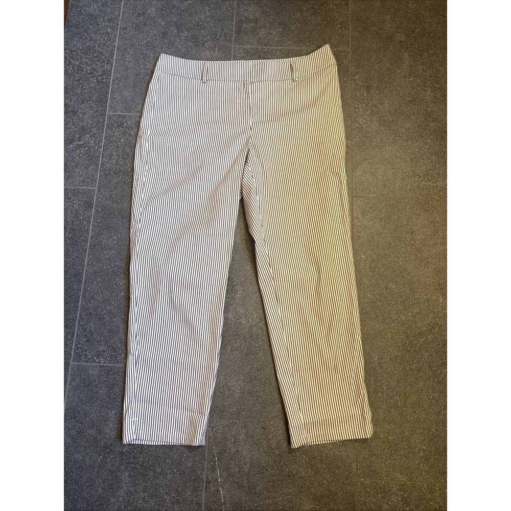 Ann Taylor Blue & White Stripe Curvy Crop Pants With Pockets Sz 10 EUC